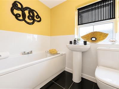 Picture 9